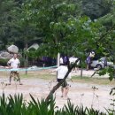 삼계리주말농원 이미지