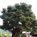 명봉산 경로당 이미지