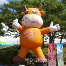 한우소장수
