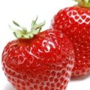 봄나들이 도시락 만들기 이미지