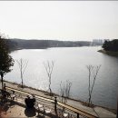 산타로사(santarosa) Daum카페