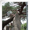 주식회사 바라다