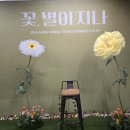 꽃,별이지나 이미지