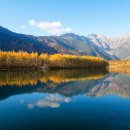 [북부] 민화(2025) 이미지