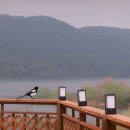 김정남농장 이미지