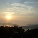 산양일주도로가로수 이미지