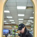 안경매니져 김천하나로마트점 이미지