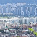 서울벨트 - 중구 큰장로28길 42-10 | 서울벨트