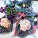 관저동 문예회관 이미지