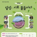 달성, 시로 물들이다 / 디카시공모전 / 8.31.(일)까지 이미지