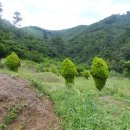 자라등(△293.4m).말머리산(456m).깃대봉(480m).징경산(518m).깃대봉2(284m)봉암산(△240.m)/경북 영천 이미지