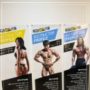 리드 피트니스 이미지