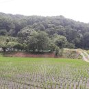 대소원면사무소 이미지