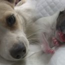 서문농장 이미지