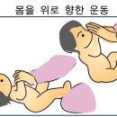 프란시아가구