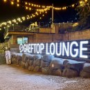 개프탑라운지 | 청주 애견동반카페, 야간에도 운영하는 수암골 개프탑라운지