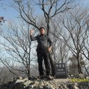 개화초등학교 이미지