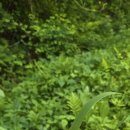 소박한밥상 이미지