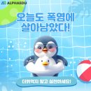 알파에듀