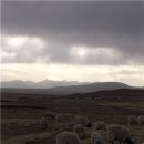 아주(아) 이미지