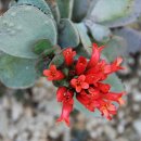 부천자연생태박물관 이미지