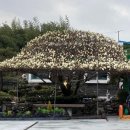 목련주유소 이미지