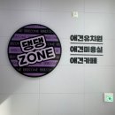 댕댕존 | “강아지가 여기만 오면 꿀잠 자요 🐶 영종도 애견카페 댕댕존 솔직 후기”