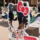 용인 캐리비안베이 산리오 콜라보 주말 오픈런 데이트 후기 | 산리오 네컷사진 포토부스 위치