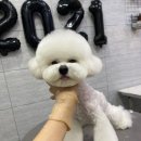 엠케이그루밍샵 이미지