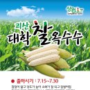 상원 농장 이미지