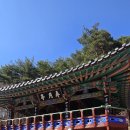 농월장 Daum카페