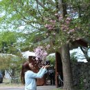 회수동-6 이미지