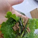 동국농장 | 내돈내산 일산 식사동 가성비 맛집 동국기사부페! 9천원에 무한반찬 한식뷔페 찐 후기