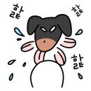 미앤마이독스 네이버블로그