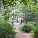 양천근린공원 이미지