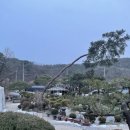 바위샘펜션 이미지