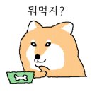 또바기묵은지 이미지