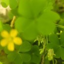 강언근자동차병원 이미지