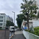 신(Shin)세탁 | 도쿄 호텔 :: 그랜드 프린스 호텔 신 다카나와, 도쿄 가성비 호텔 트리플룸 3인실 솔직 후기