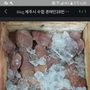 효창부채