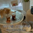 701아를고양이카페(cat in the art) | 귀여운고양이가득한 하남고양이카페 701아를 고양이카페