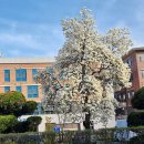 가흥로3 이미지