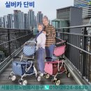한남1고가차도 하부 | 성인용보행기 실버카 단비는 안전하고 편리한 일상보조를 위한 맞춤형 할머니유모차입니다.