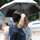 극단 마로니에 이미지