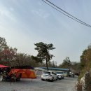 우리꽃캠핑장 | 용인 캠핑장 추천 - 비봉산캠핑장 꽃구경 2박3일 후기