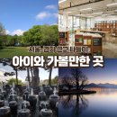 오늘은 어디 가지? 주말에 아이와 가볼만한 곳! 서울,경기 나들이 추천