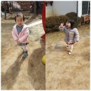 산새들어린이집 이미지