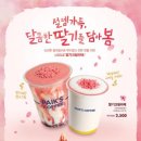 봄다방 이미지