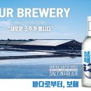 보해양조(주)장성공장 1 | 보해양조 '여기'까지 더 갈까, 천일고속 보면 답 나온다는데