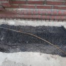 솔방울유치원 이미지